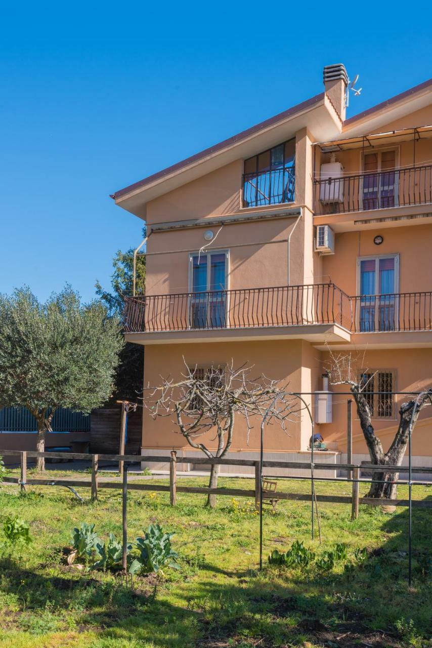 Travelershome Ciampino&Morena Guesthouse ローマ エクステリア 写真